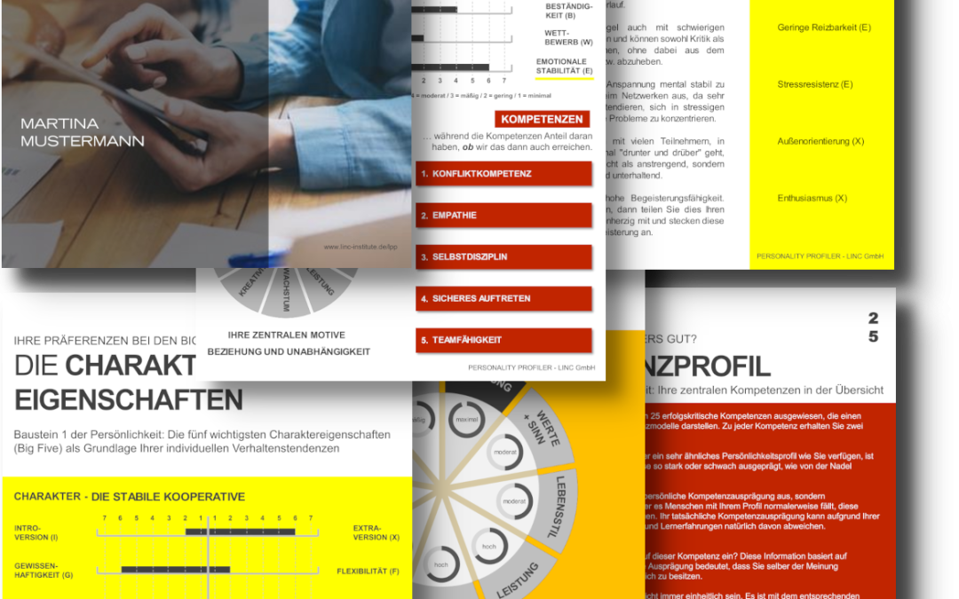 LINC Personality Profiler – Persönlichkeit verstehen und gezielt weiterentwickeln
