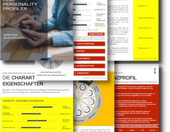 LINC Personality Profiler – Persönlichkeit verstehen und gezielt weiterentwickeln
